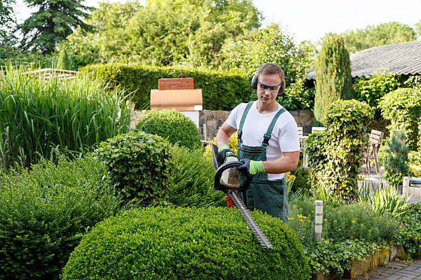 Best Lawn Dethatching  in Atoka, TN